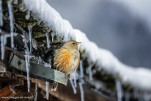 St Veran hiver2019-40
