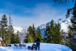 chiens traineaux Auris-19
