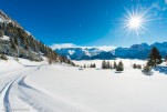Auris station hiver-365
