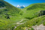 Paysage Auris Ete-7