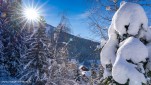 Oz hiver 2021-60
