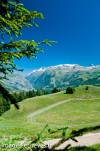 Paysage Auris Ete-59