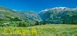 Paysage Auris Ete-56