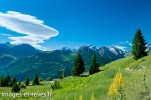 Paysage Auris Ete-87