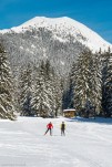 Col dePorte HIver-141