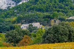 Drome provencale automne 2025-853
