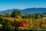 Drome provencale automne 2025-181