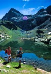 LacDomainon-9