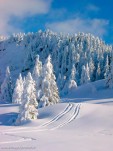 Collet Allevard hiver-63