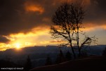 Collet Allevard hiver-68
