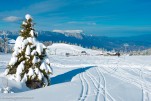 Collet Allevard hiver-506