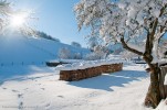 Gresse HIver-73