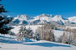 Gresse HIver-88