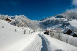 Alpe du GrandSerre Hiver-463