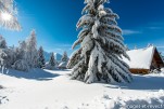 Alpe du GrandSerre Hiver-529