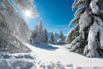 Alpe du GrandSerre Hiver-528