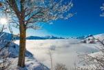 LaSaletteHiver-278