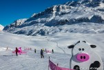 Alpedhuezhiver-467