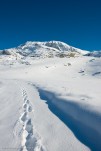 Alpedhuezhiver-161