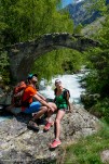 Champhorent-53