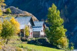 Champhorent-9